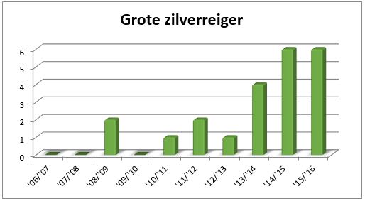 Grote zilverreiger